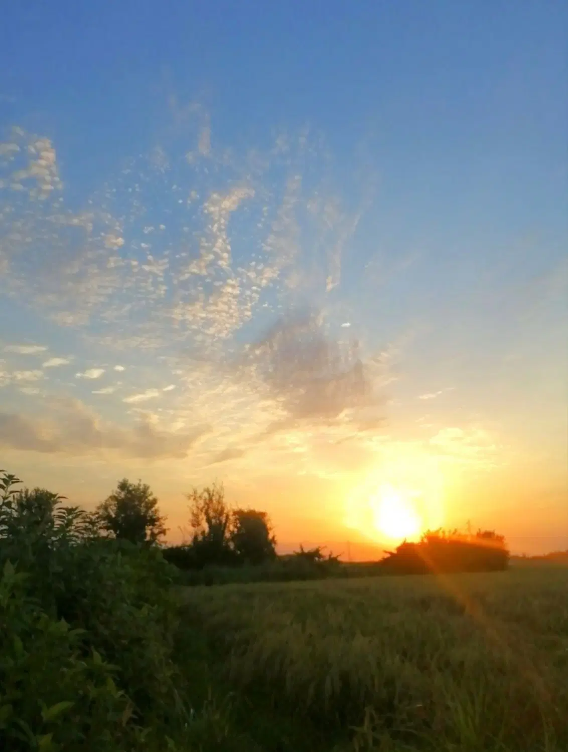 زمین کشاورزی