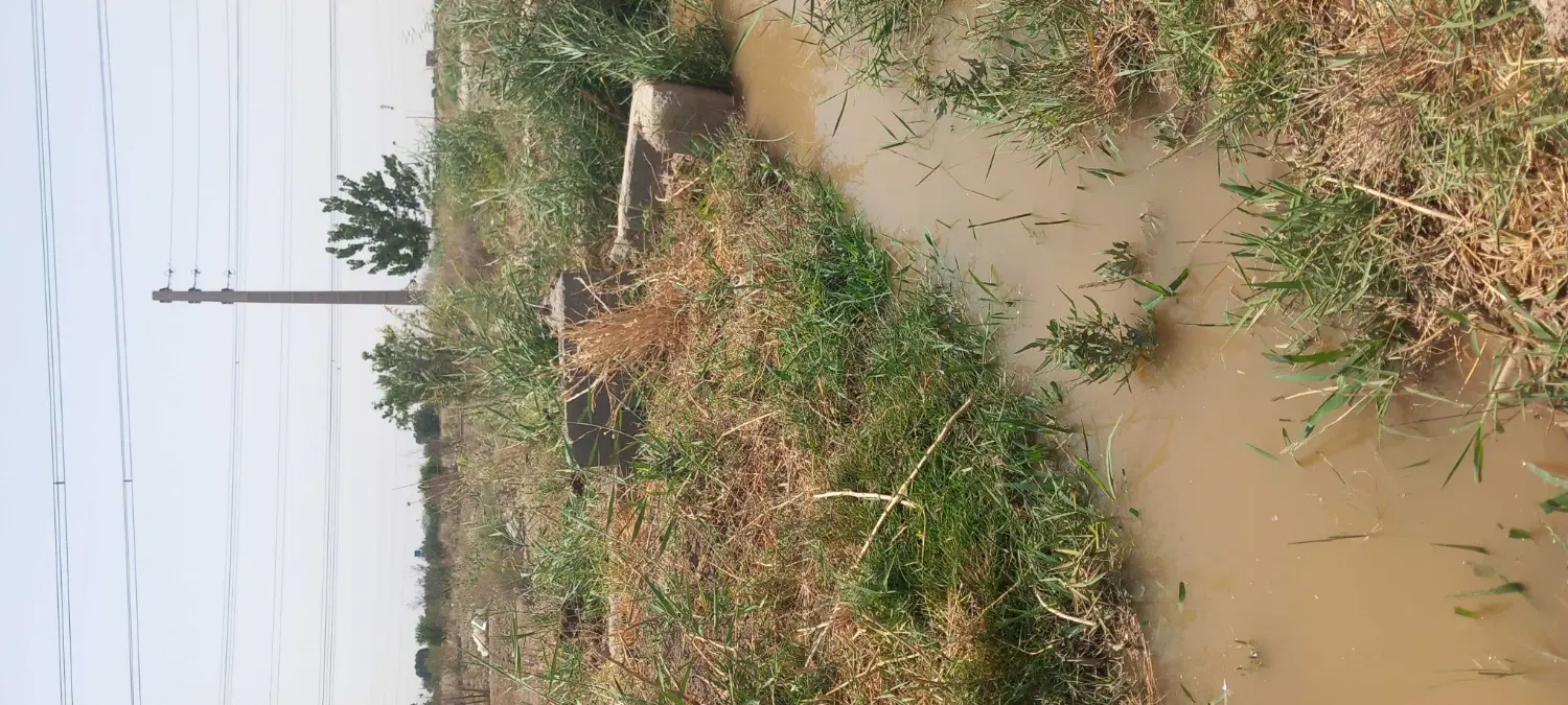 زمین باغچه