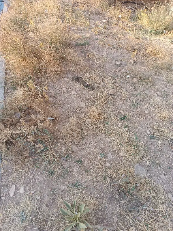 زواجر زمین