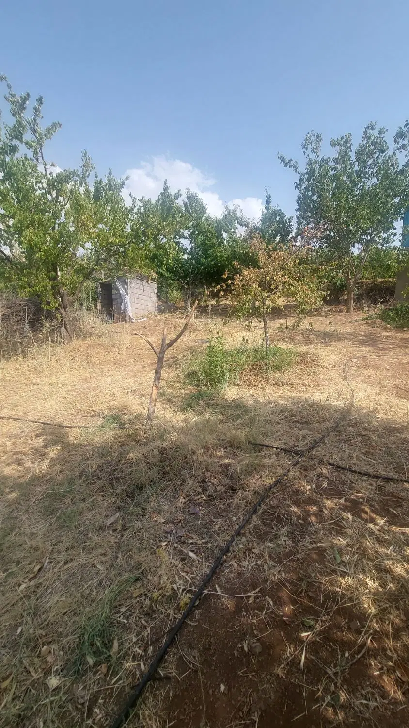 باغ حسن آباد(گندمان)