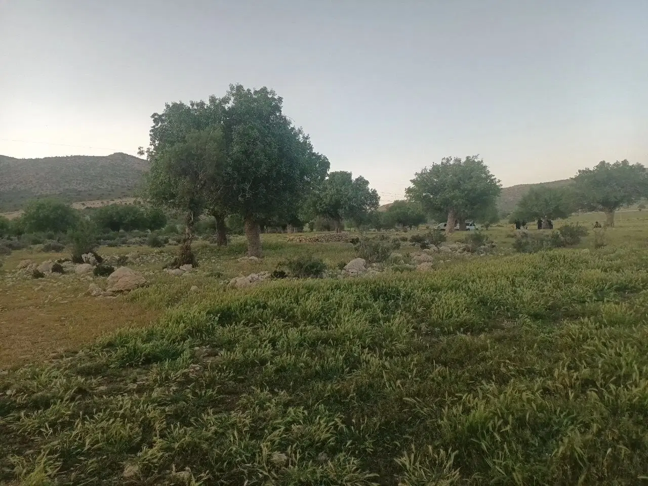 زمین مسکونی سند دار
