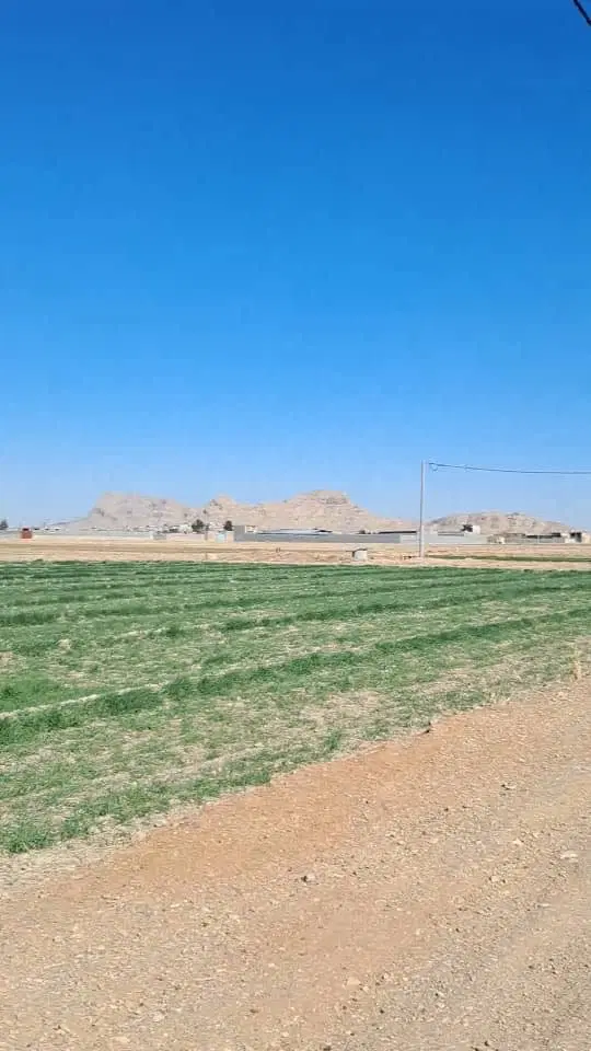 ۱۳ جریب زمین کشاورزی