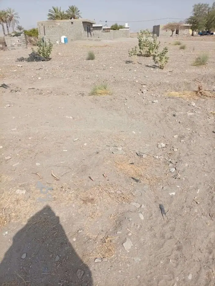 فروش زمین مسکونی میناب