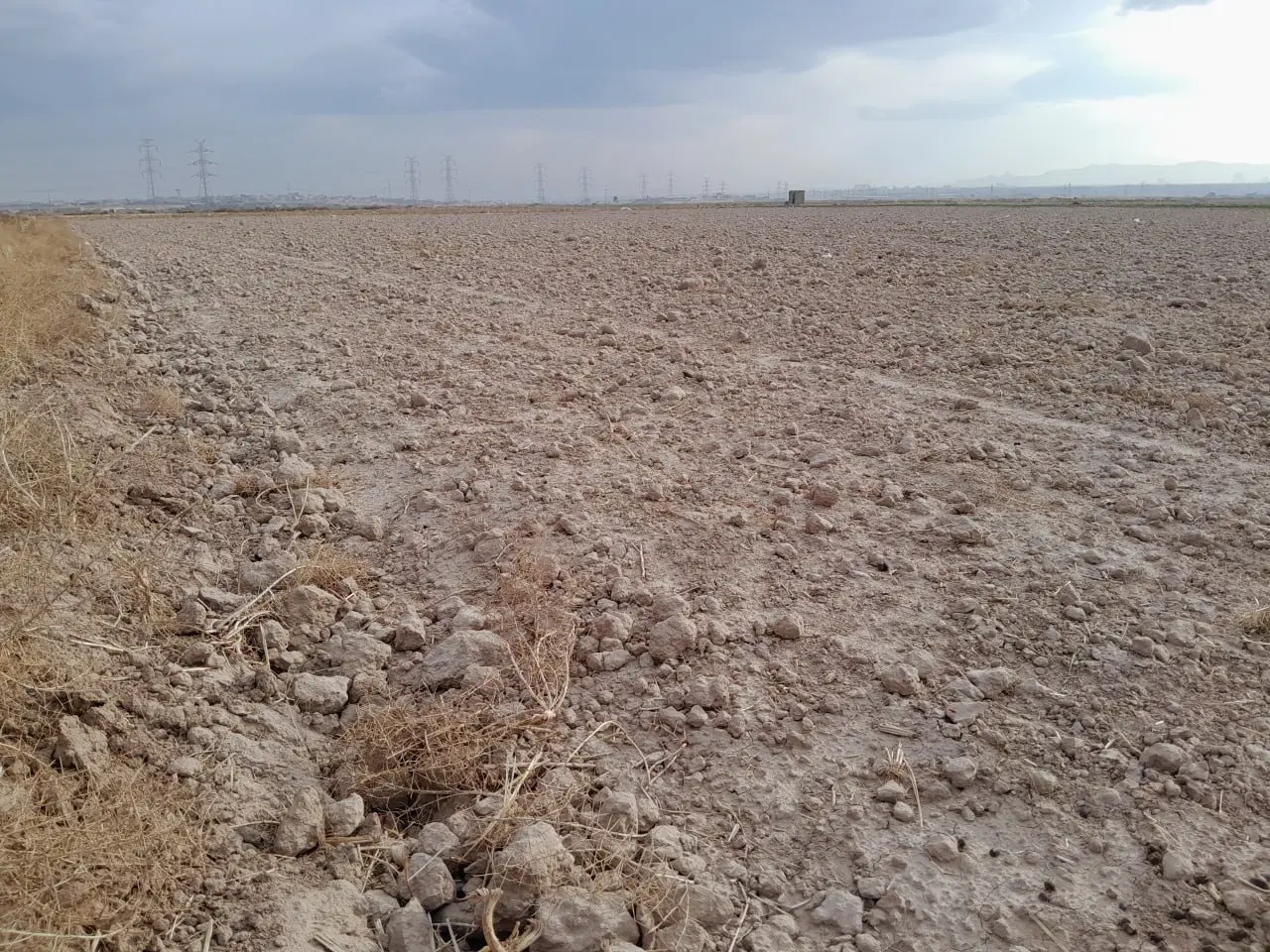 زمین کشاورزی