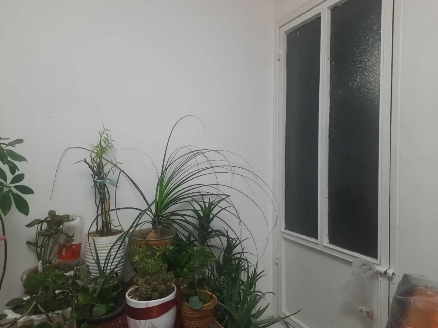 رهن و اجاره واحد ۱۲۰ متری ۳ خوابه در جهان شهر غربی