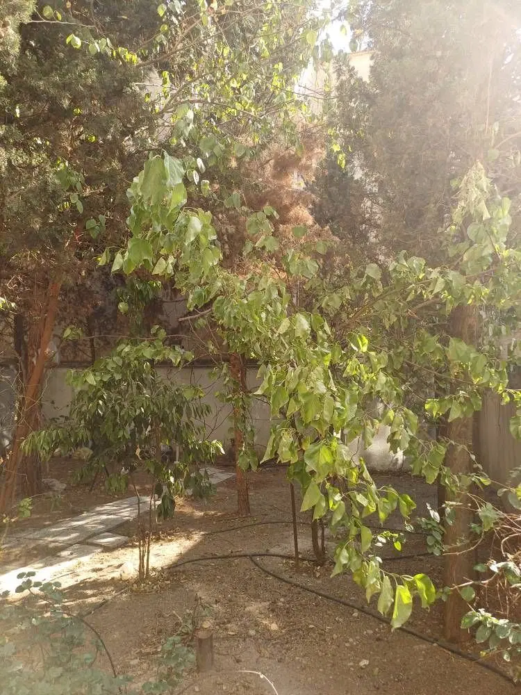 فروش زمین در بهترین نقطه تهران
