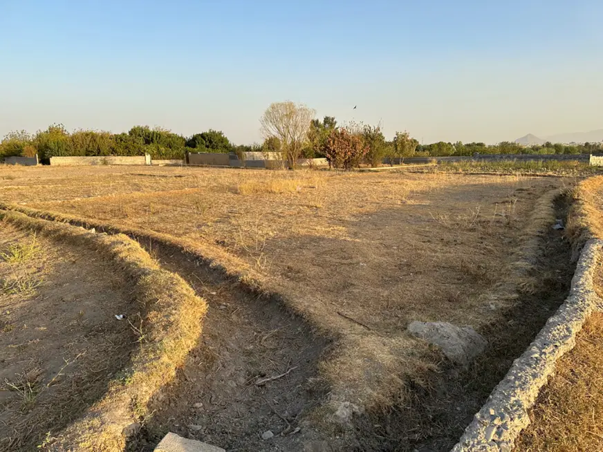 یک قطعه زمین در صحرای باغ کهنه