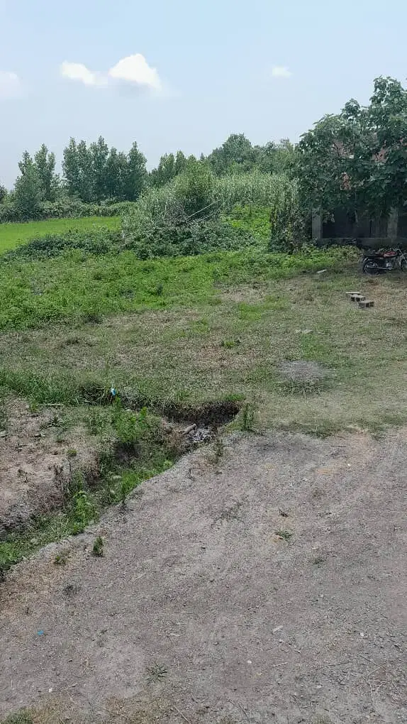 زمین مسکونی ۲۵۰ متری