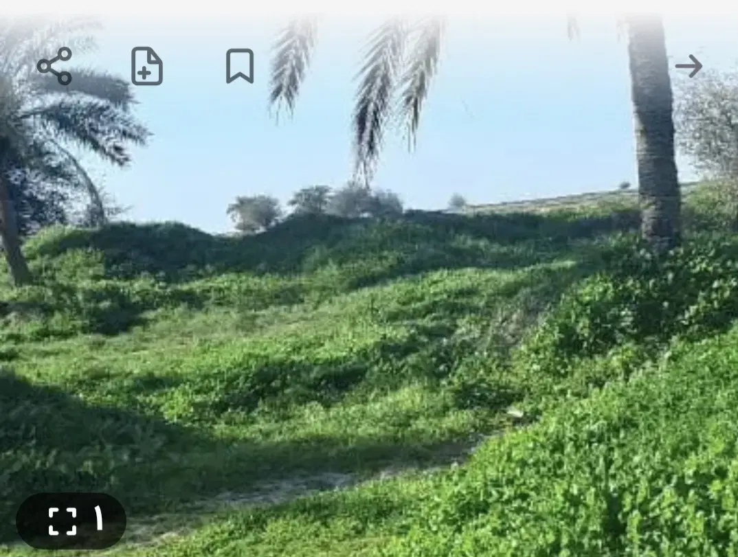 فروش زمین پشت بند دره