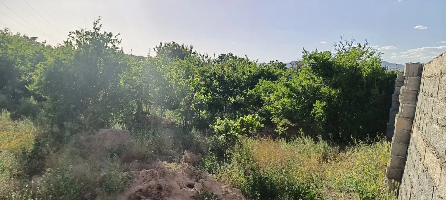باغ دور دیوار