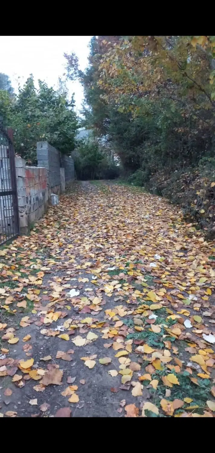 ۲۲۰ متر بین مرزن اباد و کلاردشت