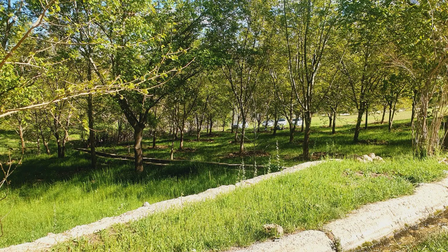 زمین مناسب سرمایه گذاری