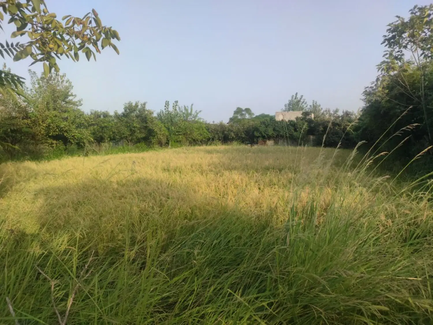فروش ۷۰۰متر
