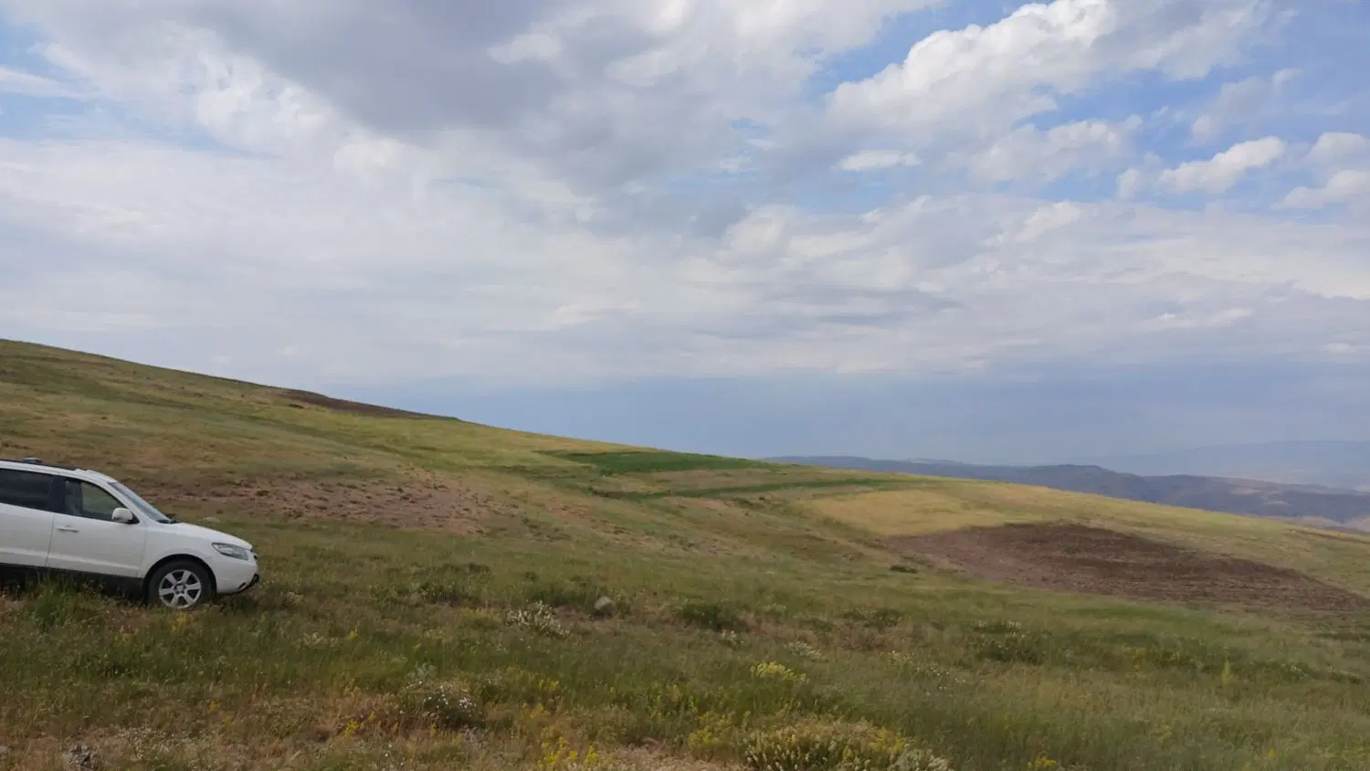 زمین کشاورزی  دیم