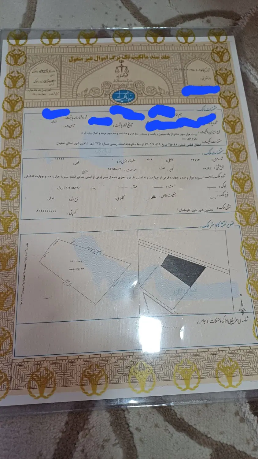 زمین تک برگ