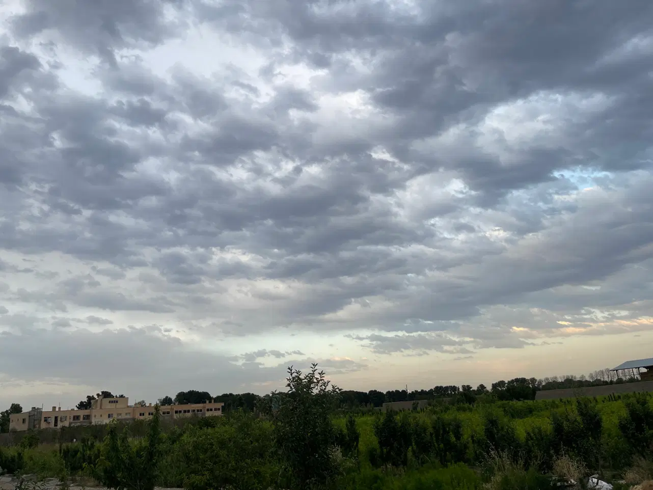 زمین کشاورزی عباس اباد