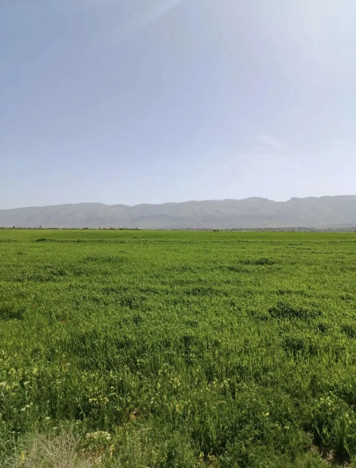 زمین ( باغ )در منطقه ییلاقی و گردشگری دریابک قزوین