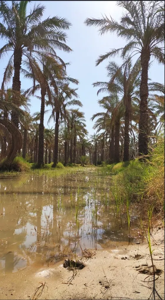 معاوضه زمین