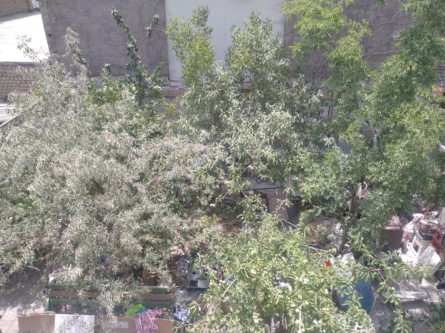۲۳۰ متر اوایل امامیه رهن و اجاره