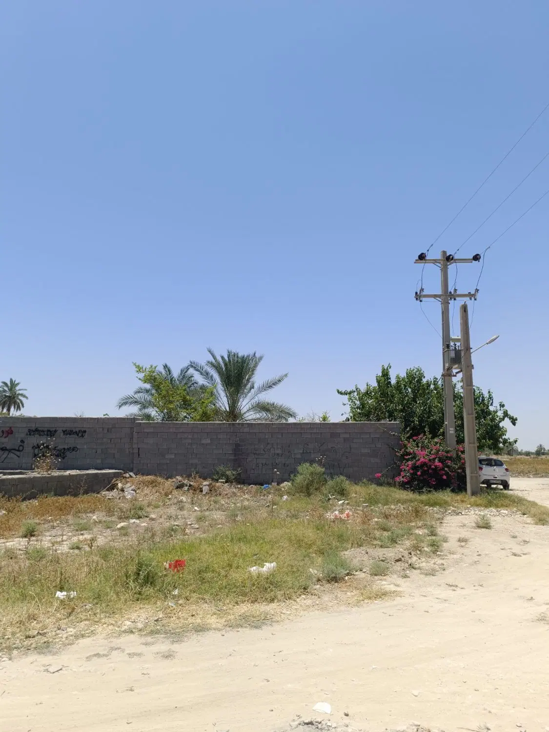 زمین خضر رو به شمال