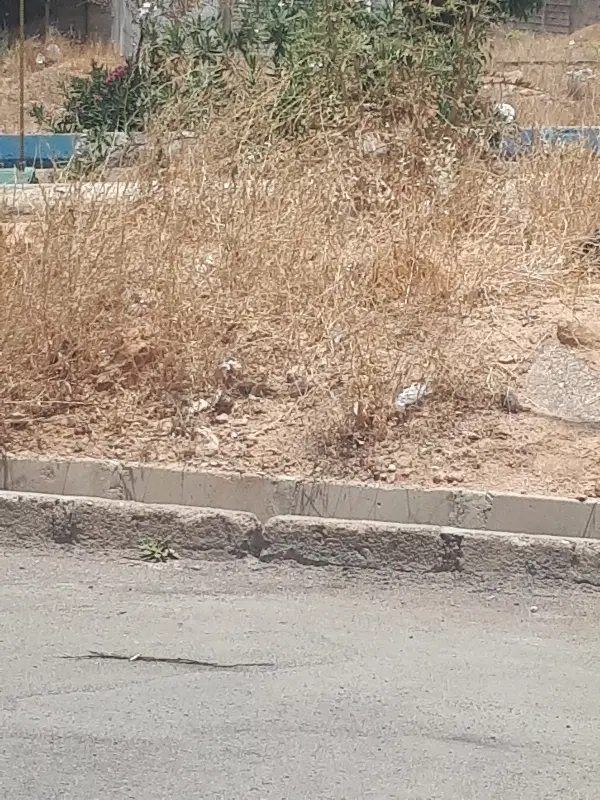 فروش زمین ام ۳ فاز دو صدرا