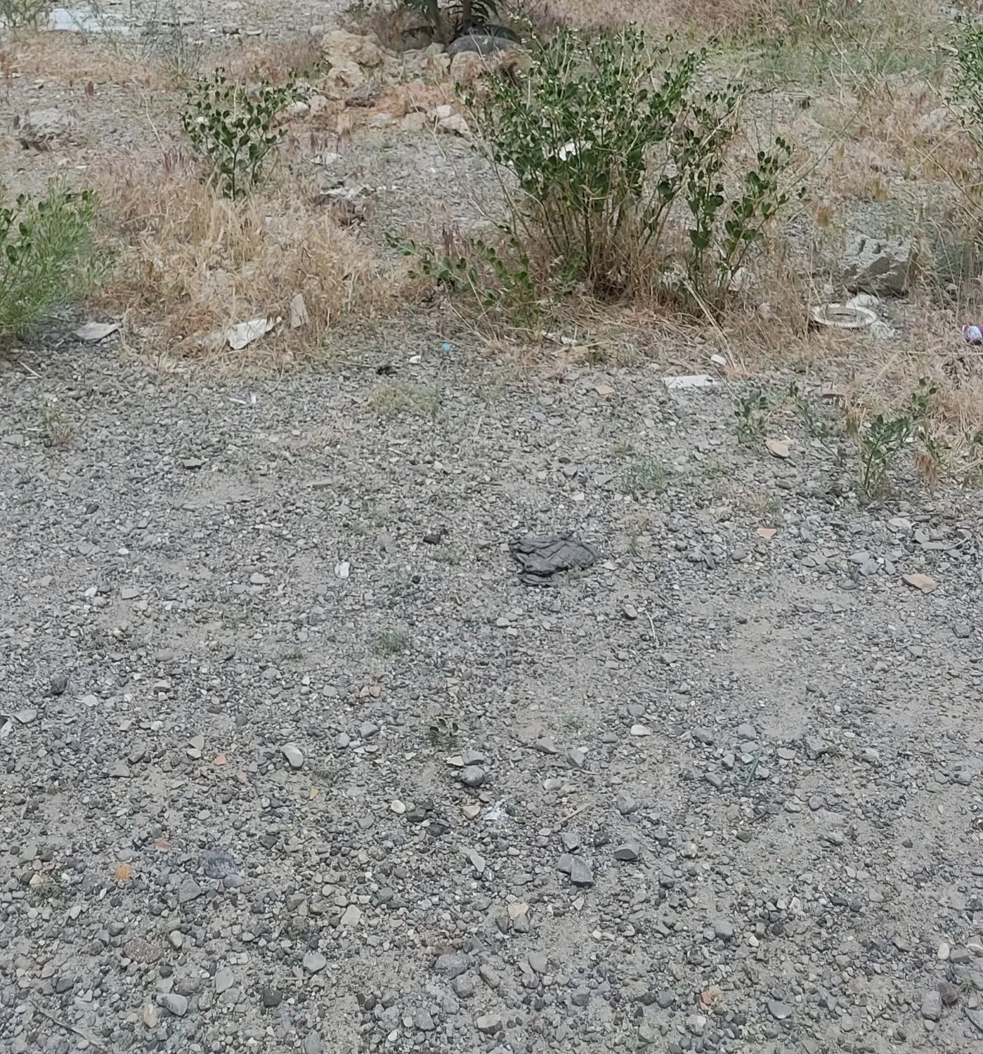 قطعه زمین در مرزداران