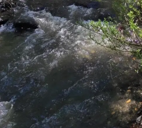 باغ ورکانه