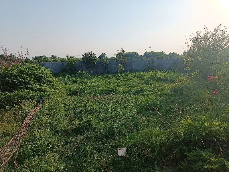 ۲۶۴متر همراه نامه