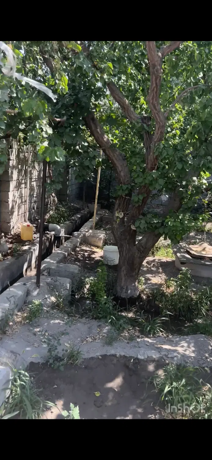 باغچه ۶۳۰متری