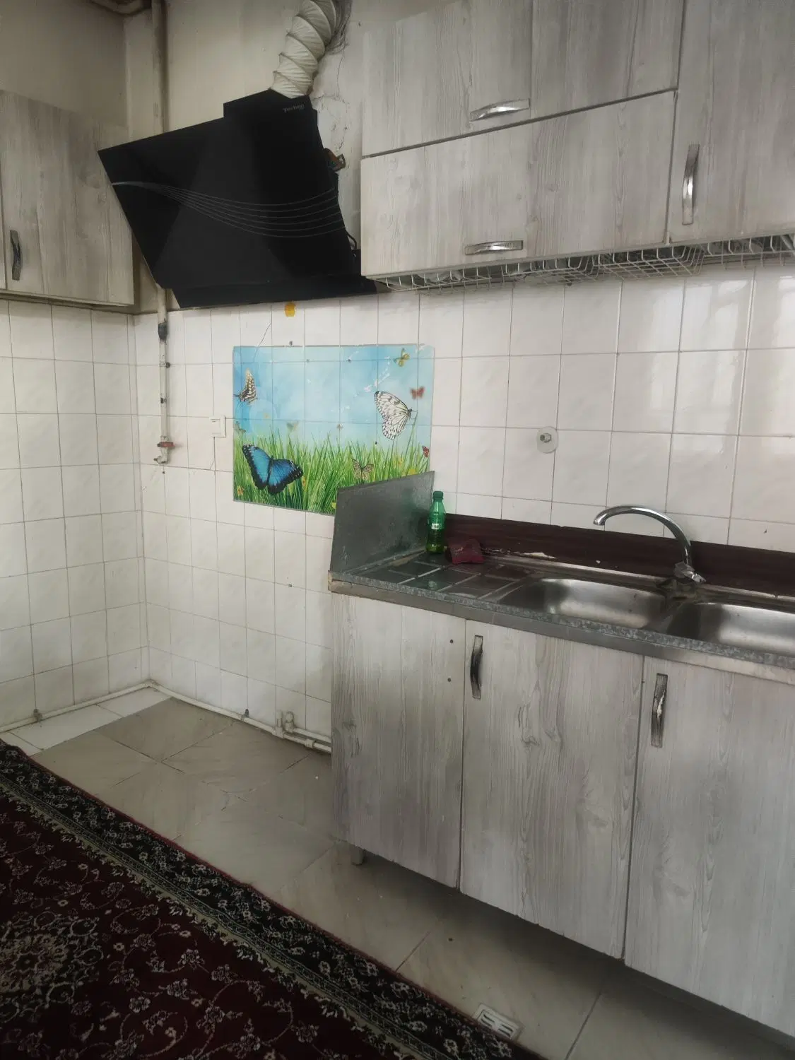 سوییت ۵۰متری دربست