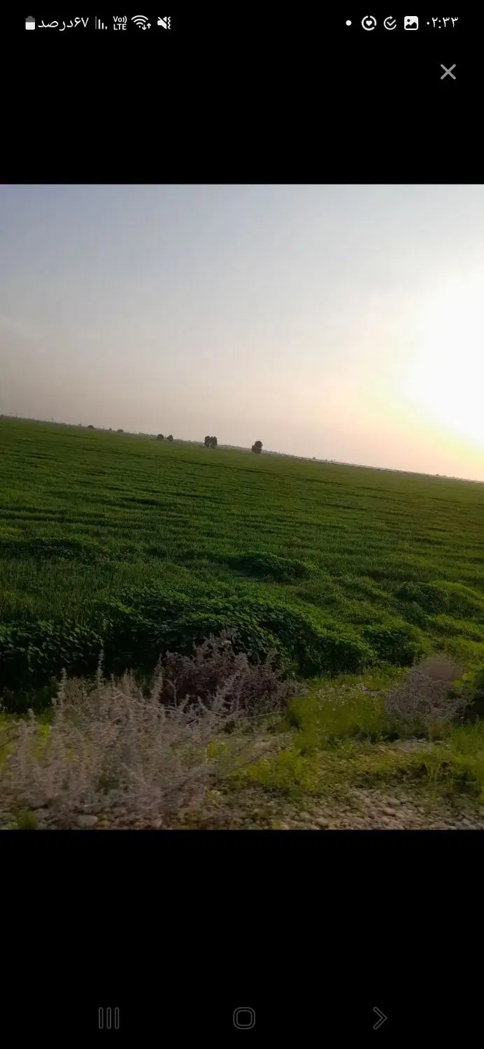 زمین دیمی ۸_۵ هکتار جاده بوشهر