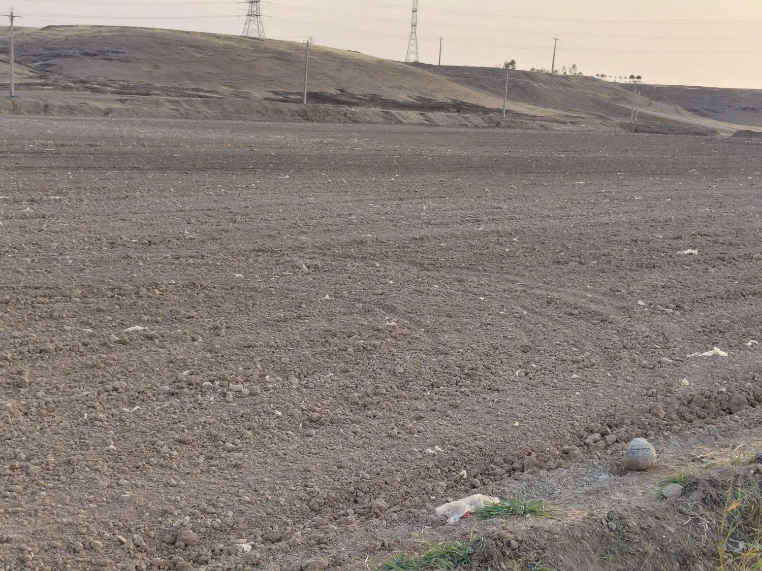 زمین کشاورزی پشمی نزار
