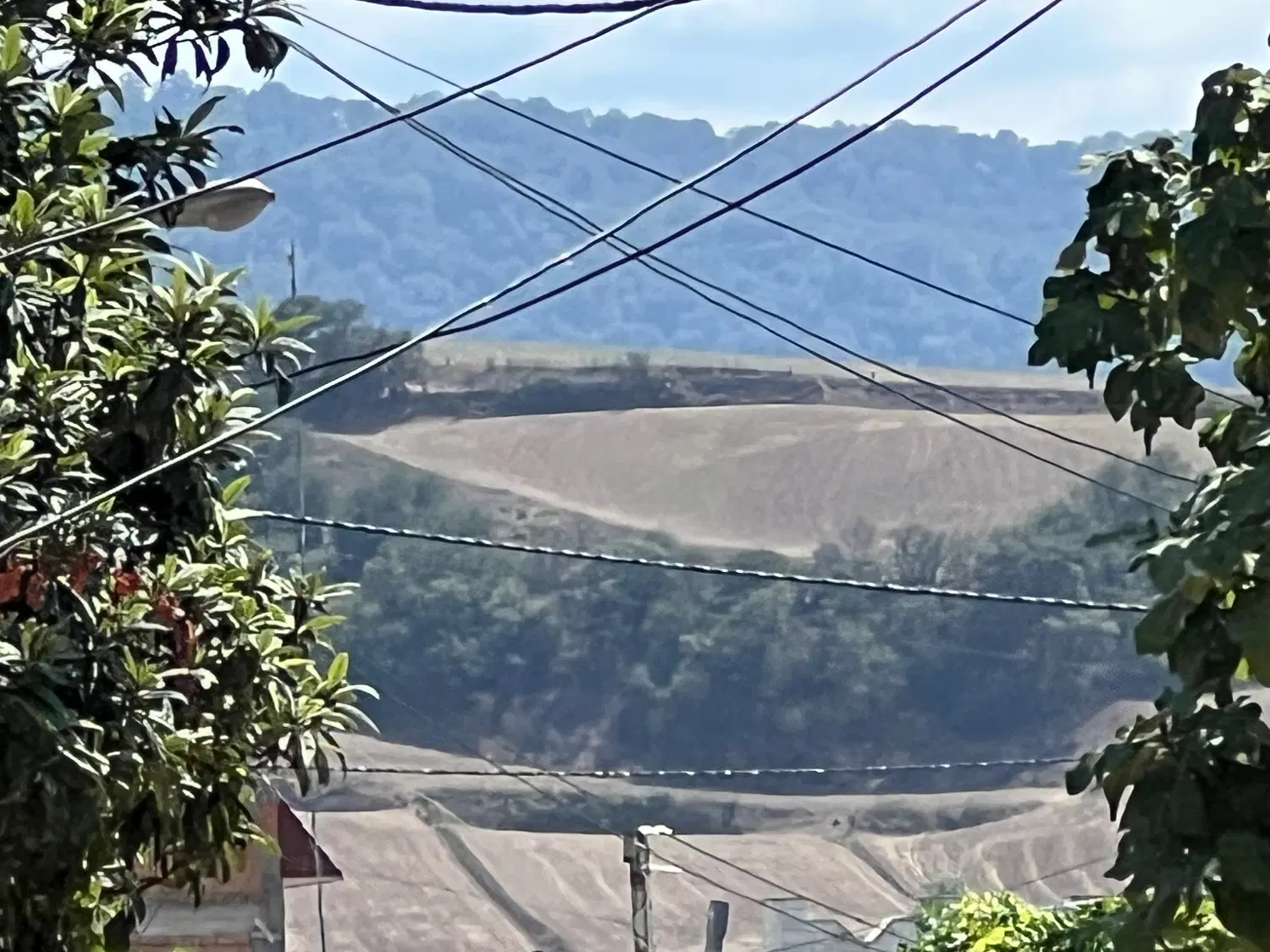 ۱ هکتار زمین کشاورزی