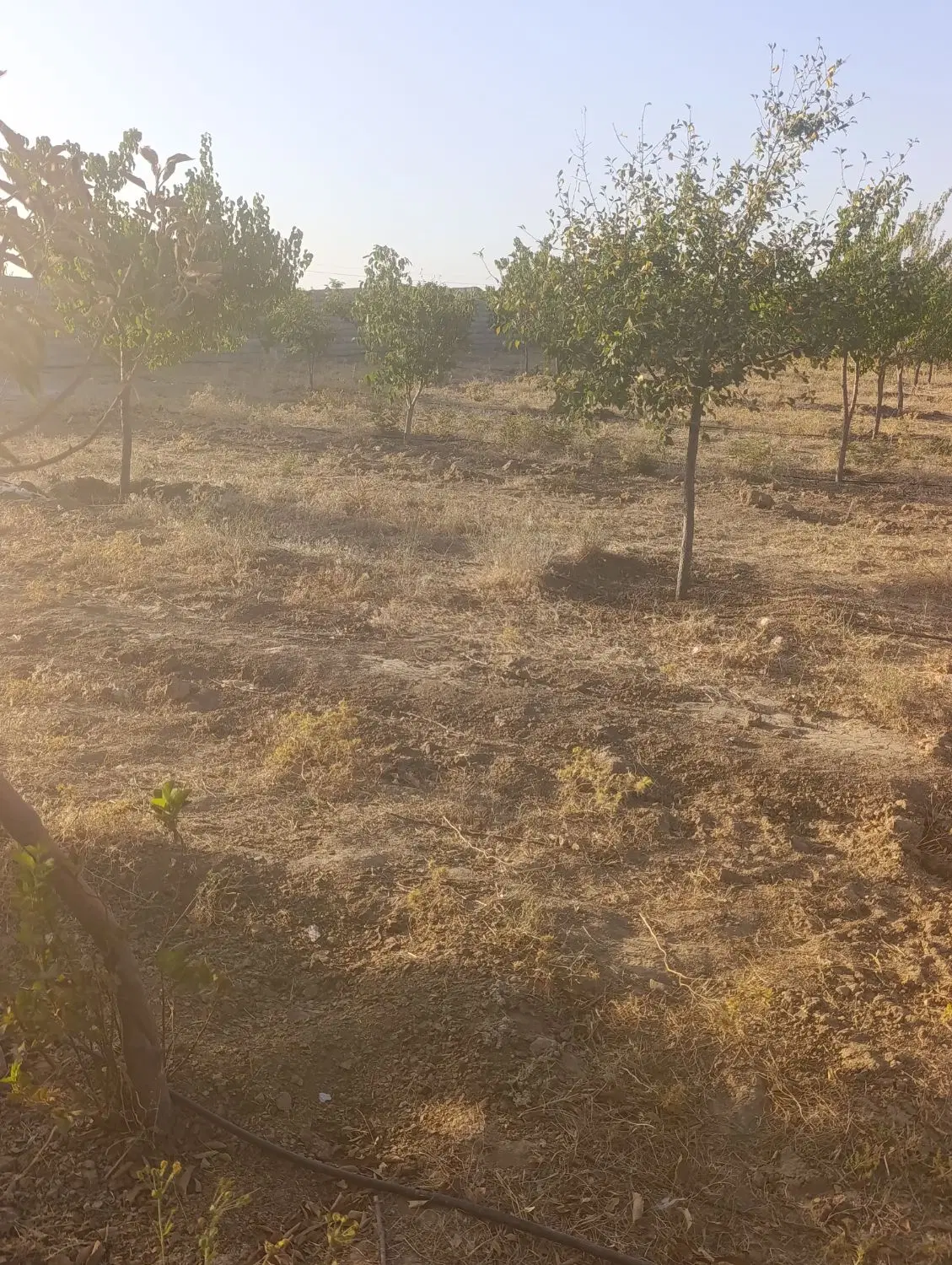 باغ ویلا (شهرک صنعتی) دره حیدر