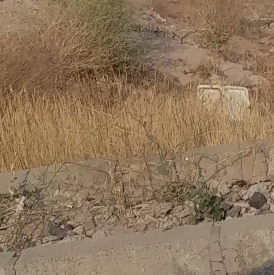 زمین  ۲۵۰ متری