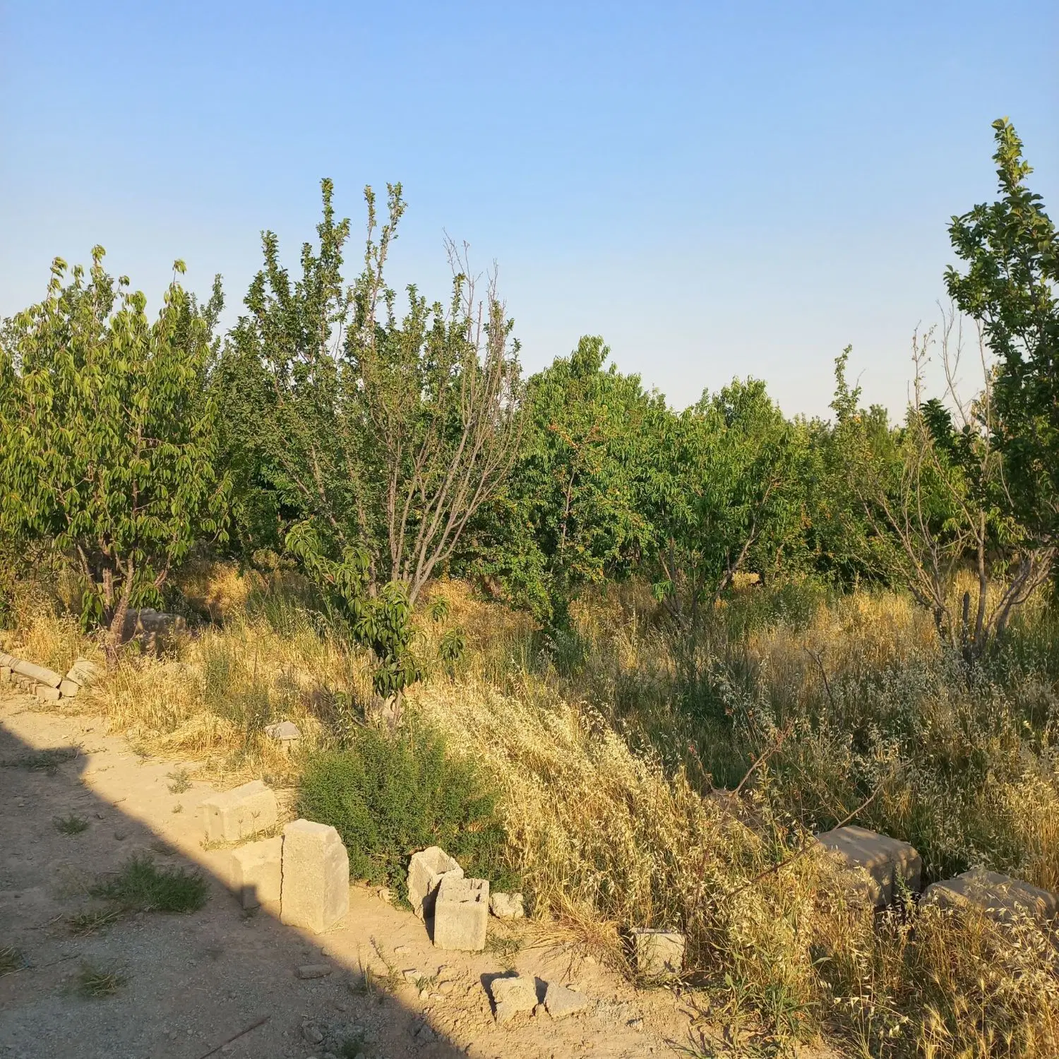 زمین چهاردیوار