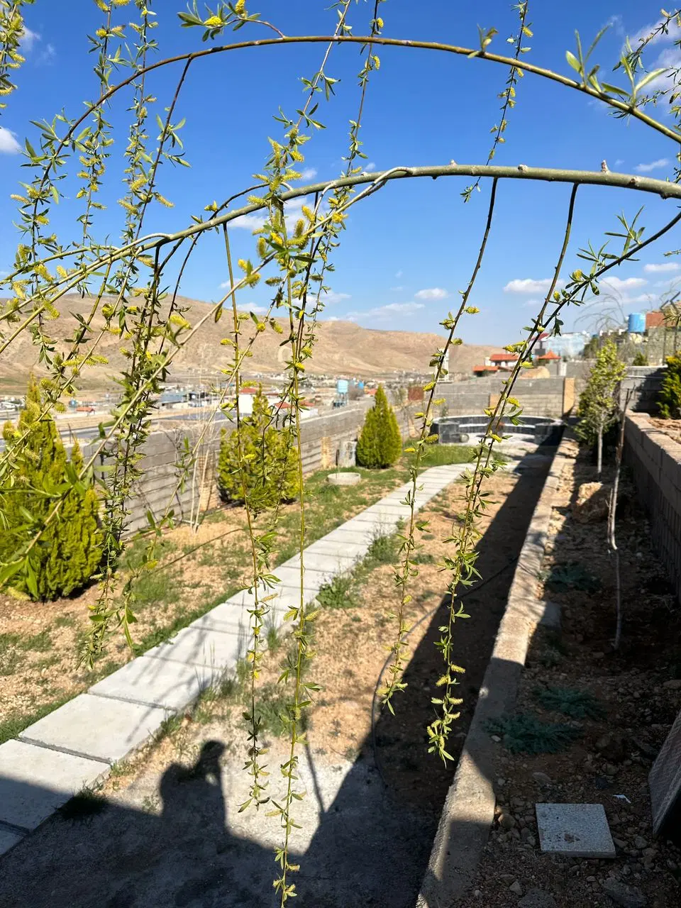 زمین باغشهری کلستان