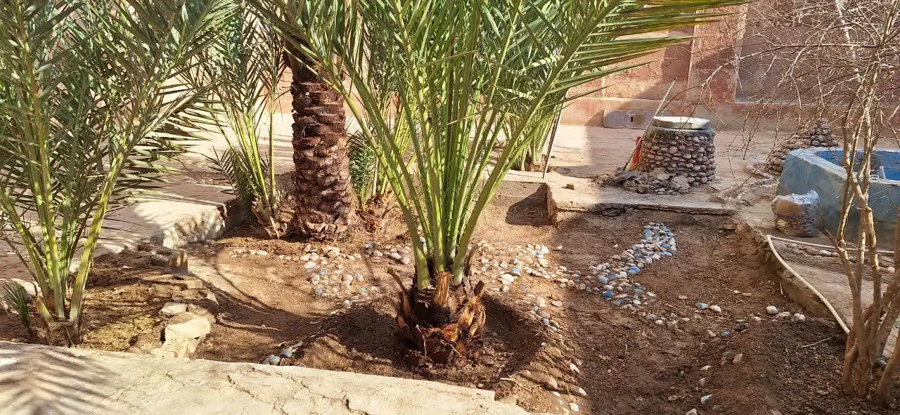 سرمایه گذاری در ناب ترین منطقه اصفهان