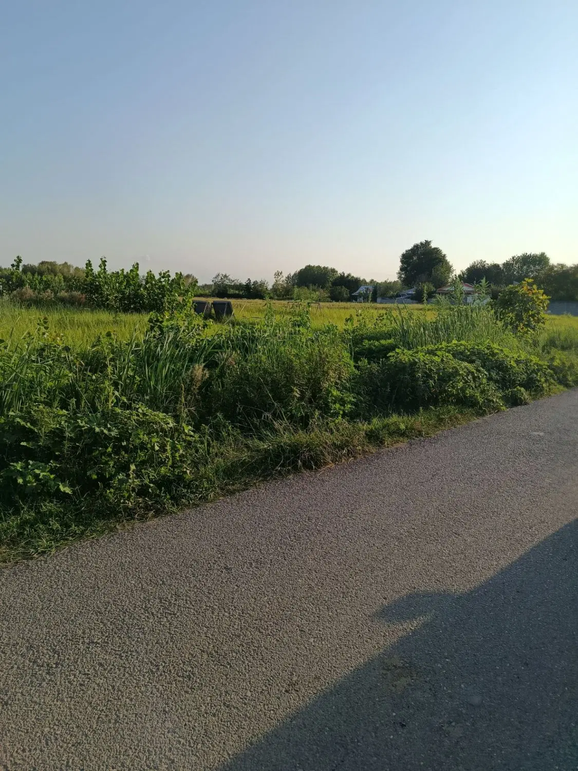 ۲۸۰ متر زمین مسکونی شهری کوچصفهان