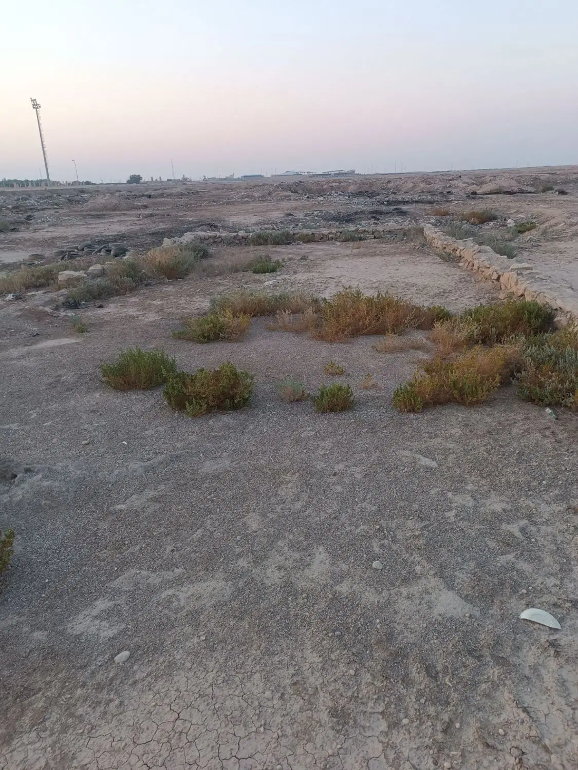 زمین فروشی