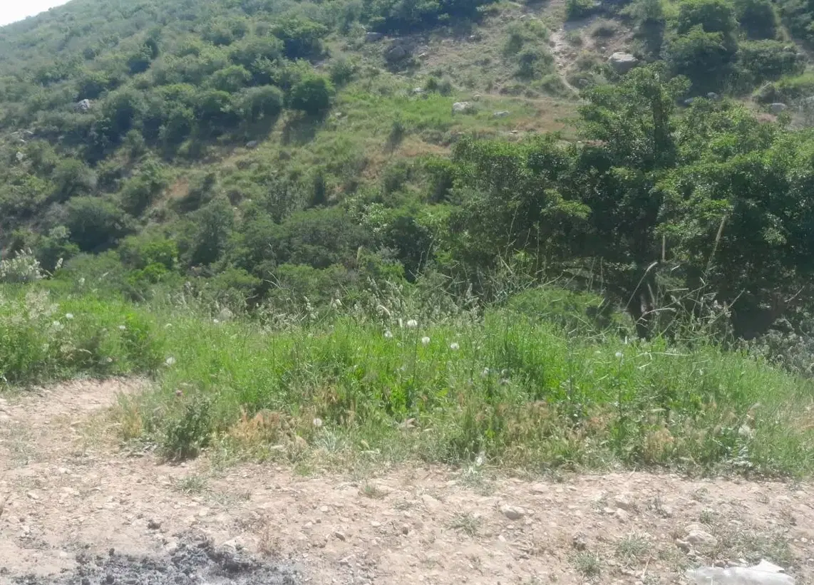 زمین طرح سه فرزندی شهرک گلستان
