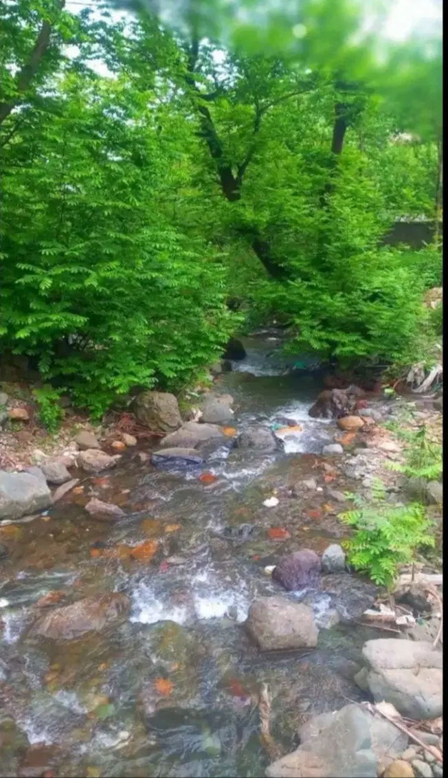 اجاره ویلا جنگلی