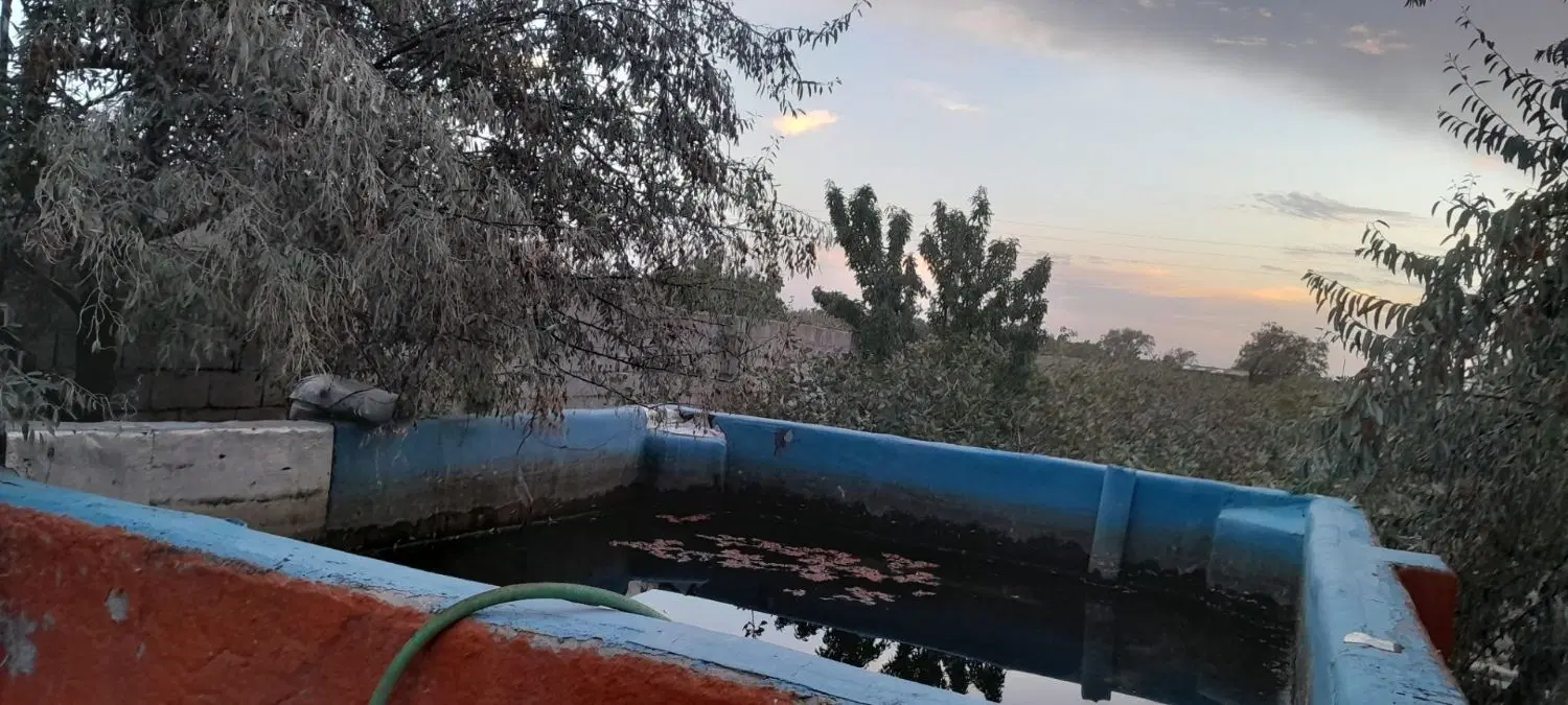 فروش باغ پسته در ایلخچی