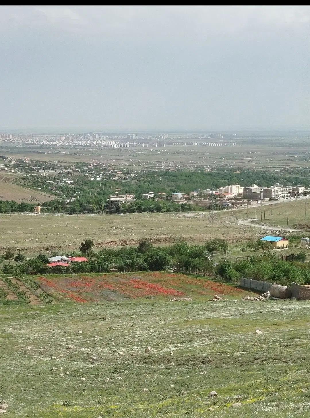 زمین رزجرد