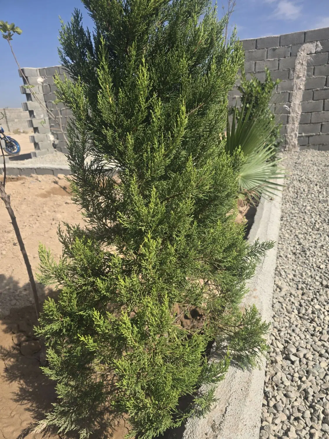باغ و باغچه سند دار_۳۰۰متر