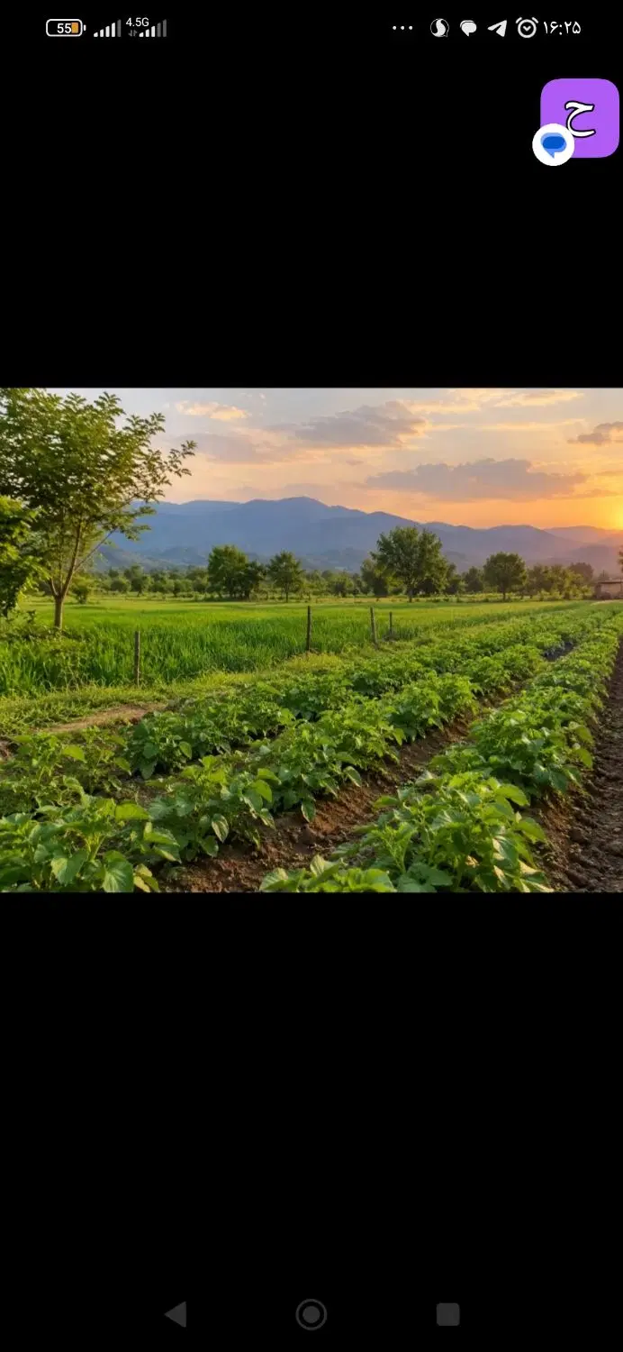 زمین کشاورزی برای باغ