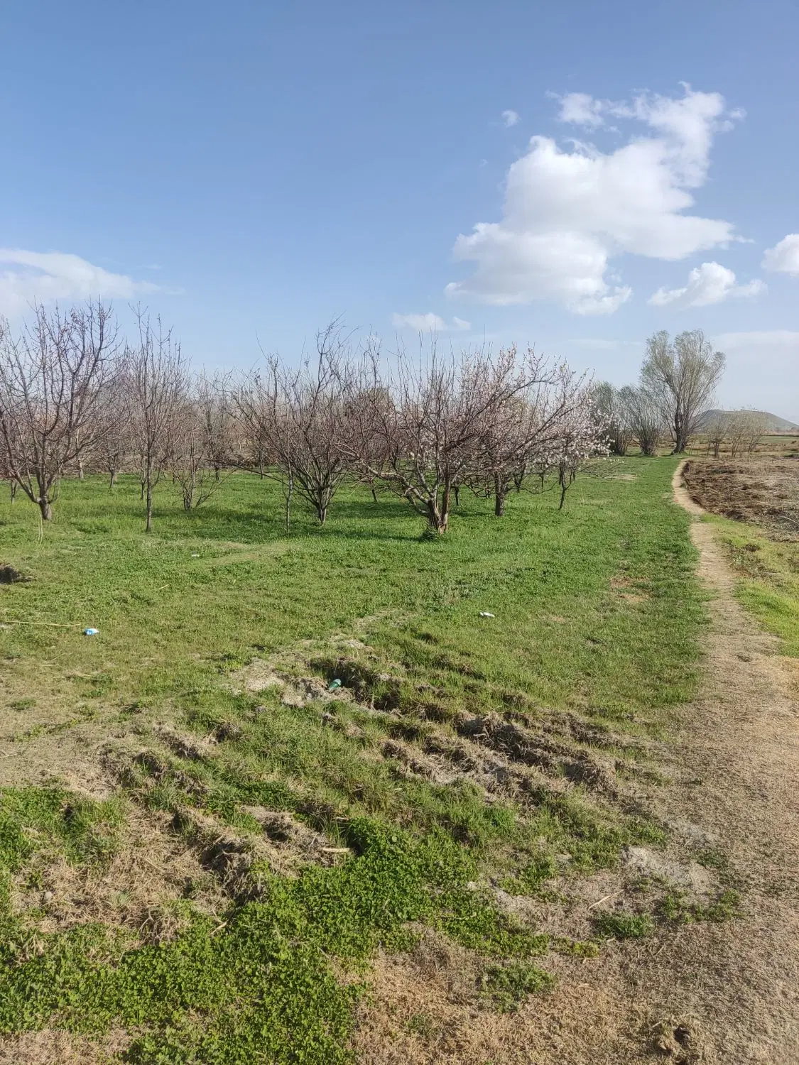 زمین کشاورزی