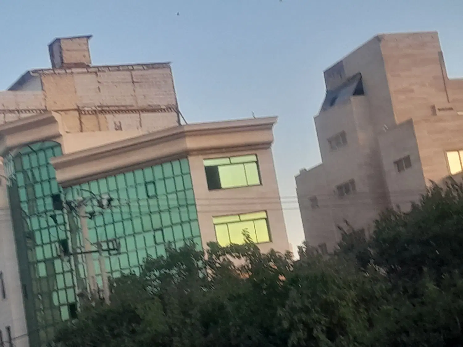 همخونه