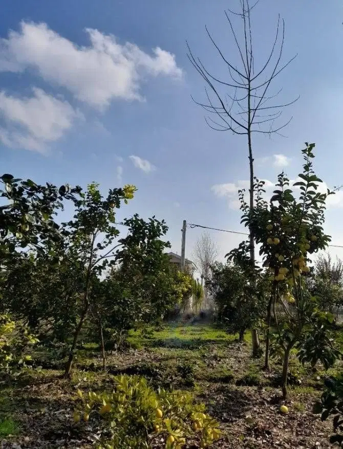 زمین با کاربری