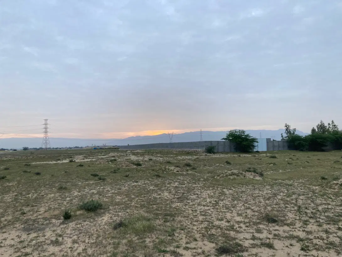 زمین گورک عالچنگی
